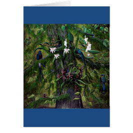 Cartão As Jungles de Tikal