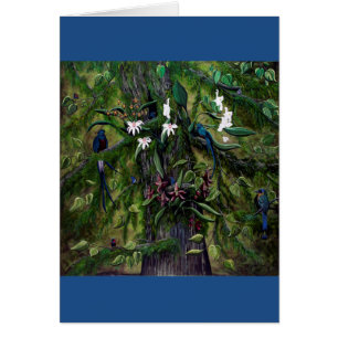 Cartão As Jungles de Tikal