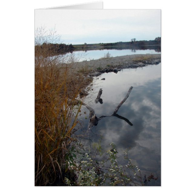 Cartão As Reflexões Perfeitas (Frente)