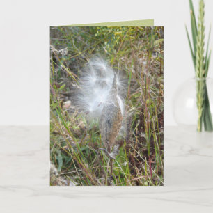 Cartão As sementes voam