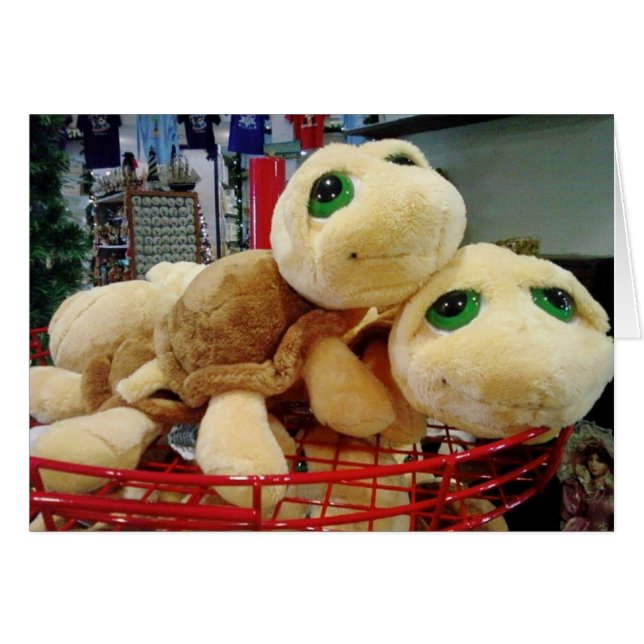 CARTÃO AS TARTARTARUGAS TÊM UMA VISÃO NOTURNA EXCEPCIONAL (Frente Horizontal)