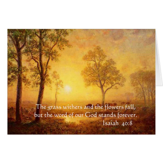 Cartão As vassouras.... (Frente Horizontal)