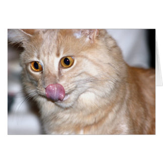 Cartão Às vezes tento ser normal