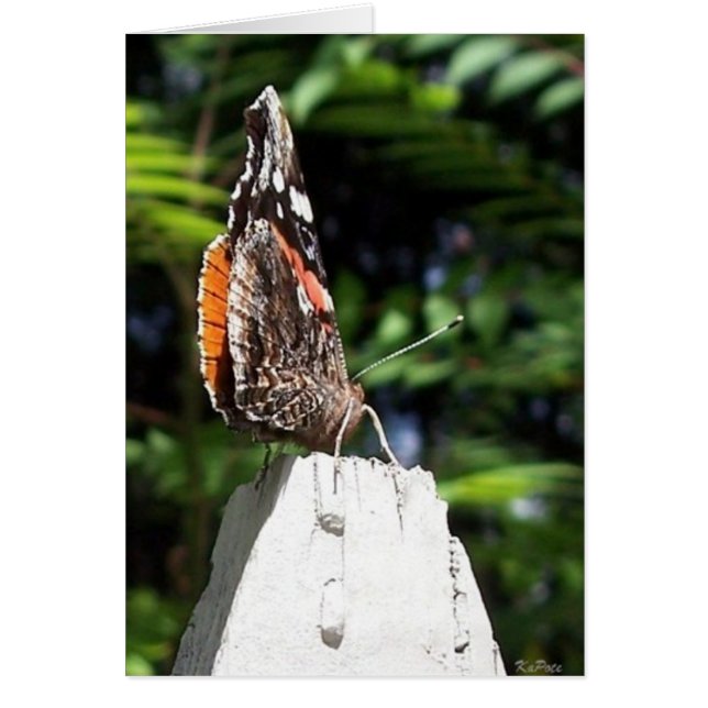 Cartão Asas borboletas (Frente)