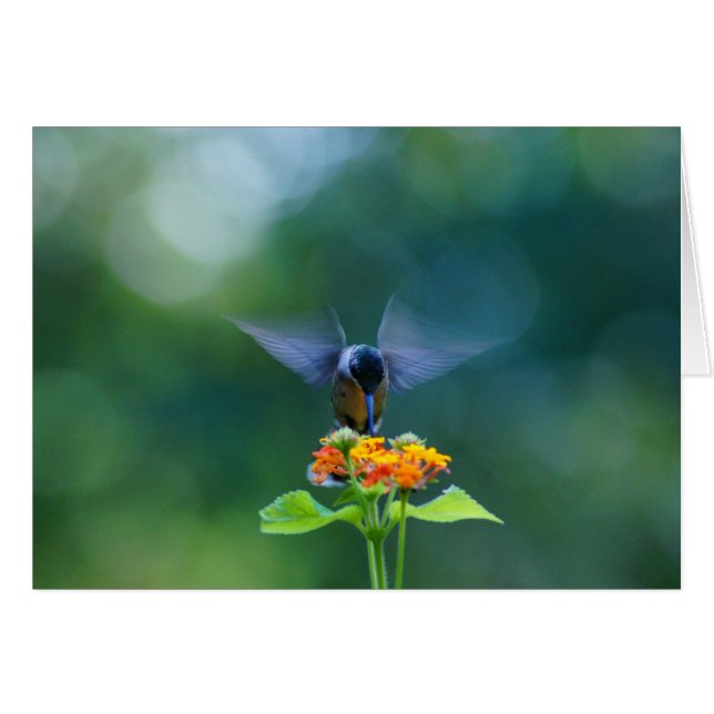 Cartão Asas do anjo (Frente horizontal)