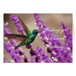 Cartão Asas do colibri das Violeta-orelhas Sparkling da