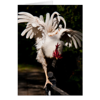 Cartão Asas flapeadas de galo