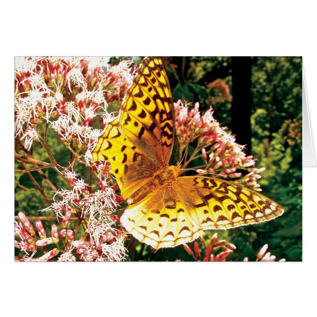 Cartão Asas ouros (Frente Horizontal)