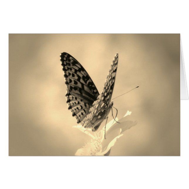 Cartão Asas para Cima - Borboleta Fritilar em sepia (Frente Horizontal)