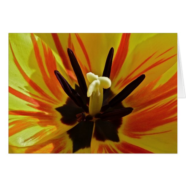 Cartão Ascendente próximo da tulipa (Frente horizontal)