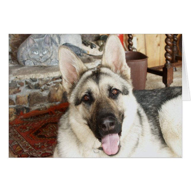 Cartão Ascendente próximo do Aussie (Frente Horizontal)