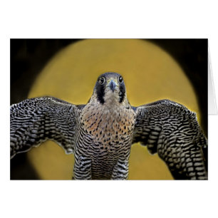 Cartão Ascensão da lua do falcão de peregrino