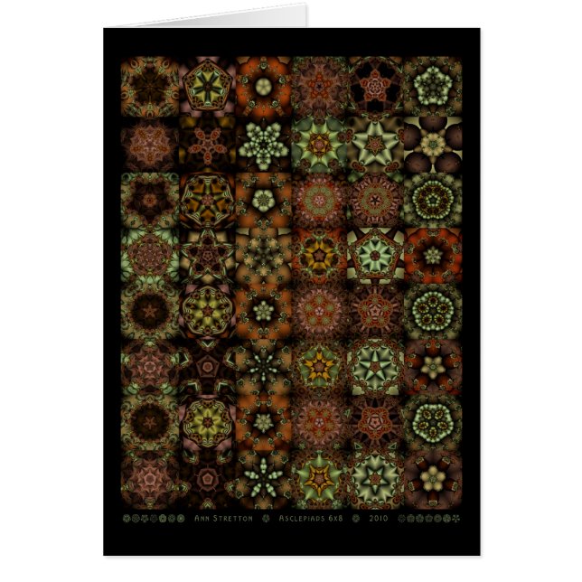 Cartão Asclepiads 6x8 (Frente)