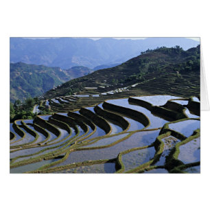 Cartão Ásia, China, Yunnan, Yuanyang. Áspero