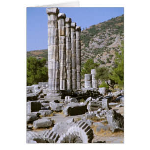 Cartão Ásia, Oriente Médio, Turquia, Éfeso. Templo de