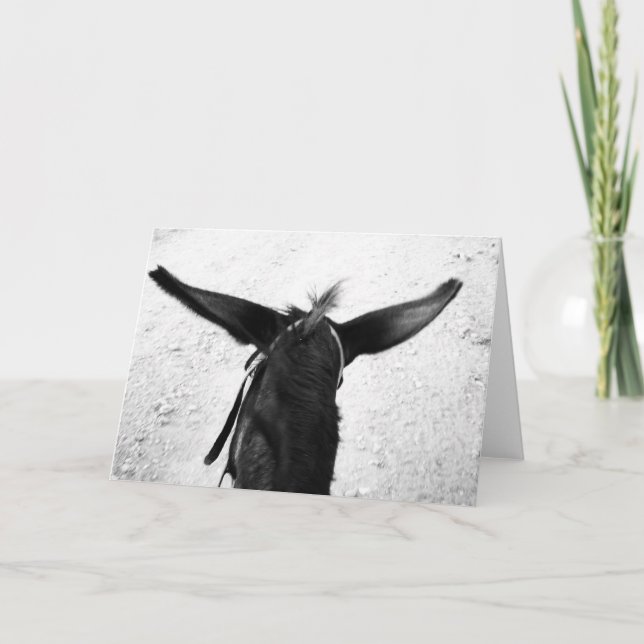 Cartão Asno (Frente)