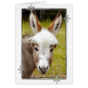 Cartão Asno