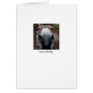 Cartão Asno curioso