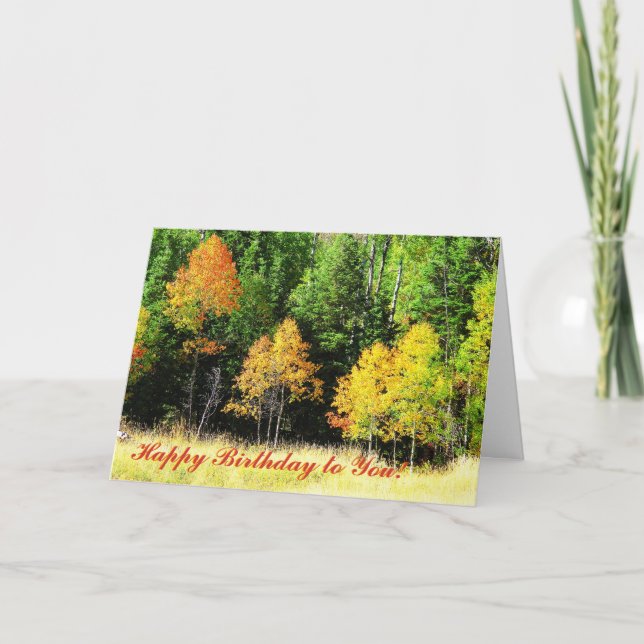 Cartão Aspen Birthday Card (Frente)