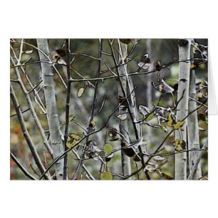 Cartão Aspen Forest