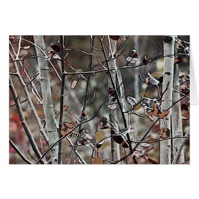 Cartão Aspen Forest no outono (Frente Horizontal)