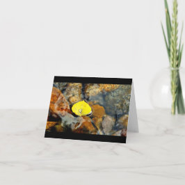 Cartão Aspen & the water drop blank card