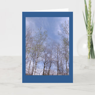 Cartão Aspens Against A Wisconsin Sky Blank Note Card