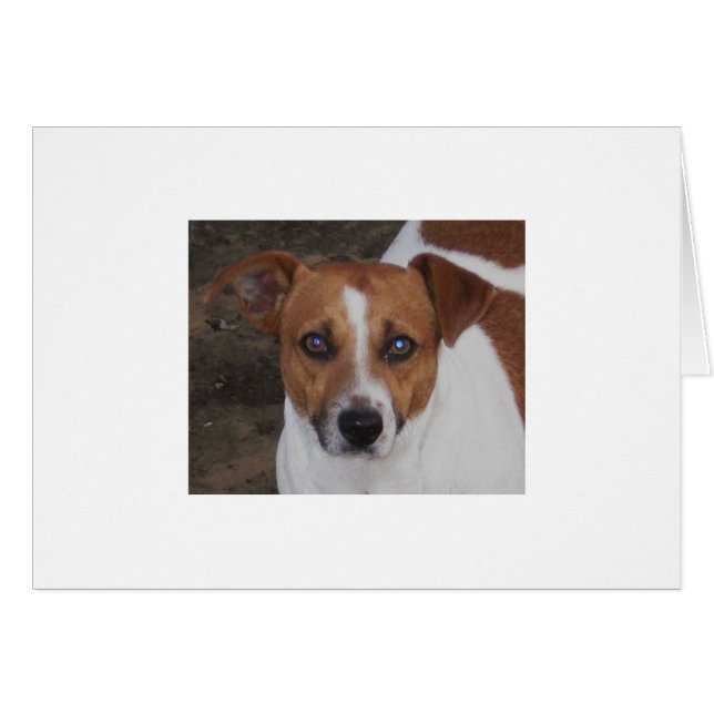 Cartão Assassino de A.H. Airheart, de Jack Russell, de (Frente Horizontal)