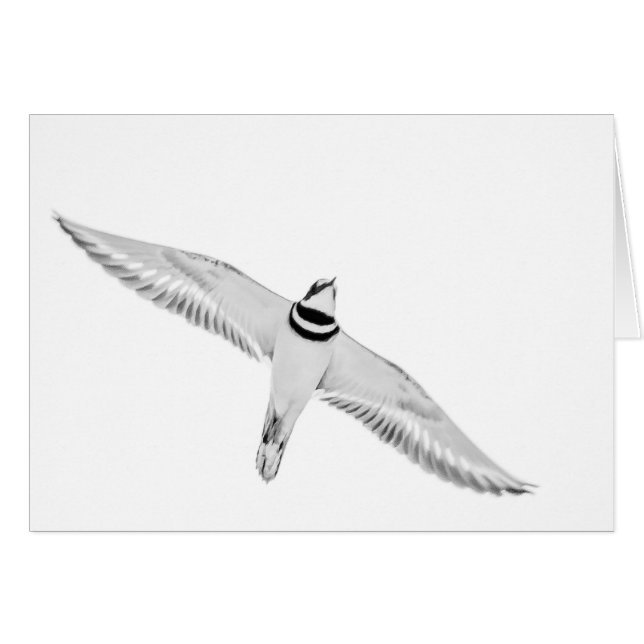 Cartão Assassinos em alta velocidade (Frente Horizontal)