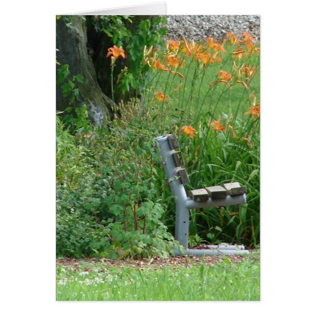 Cartão Assento (Frente)