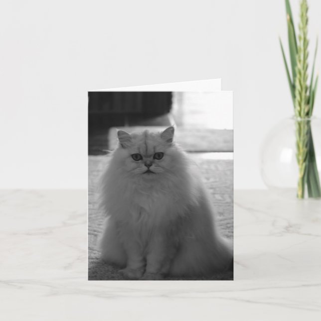 Cartão Assento bonito (Frente)