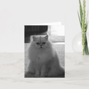 Cartão Assento bonito