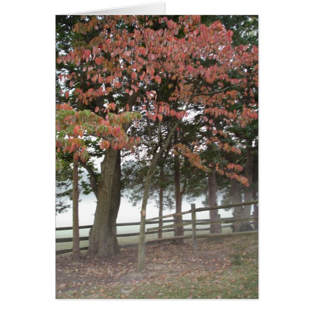 Cartão Assentos (Frente)