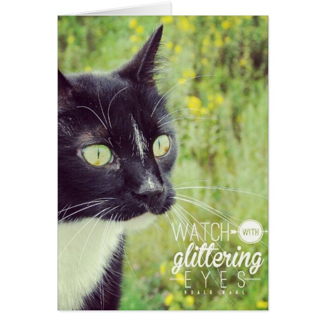 Cartão Assista a Glittering Eyes Cat (Frente)