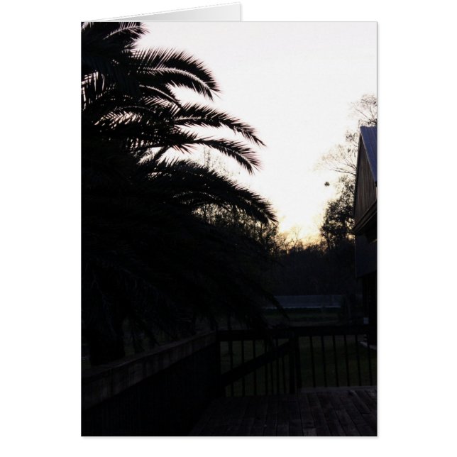 Cartão Assistindo ao pôr do sol (Frente)