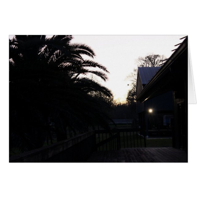 Cartão Assistindo ao pôr do sol (Frente Horizontal)