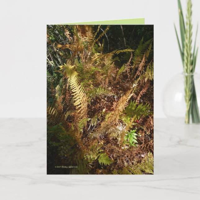 Cartão Assoalho da floresta do outono (Frente)