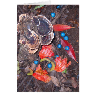 Cartão Assoalho tropical da floresta