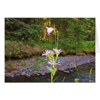 Cartão Áster do Harebell & do prado