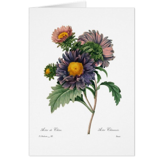 Cartão Ásteres (Frente)