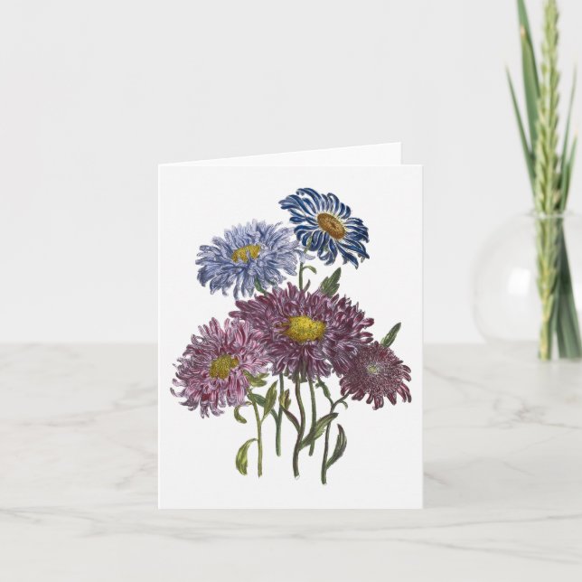 Cartão Asters Watercolor Blank Note Card (Frente)