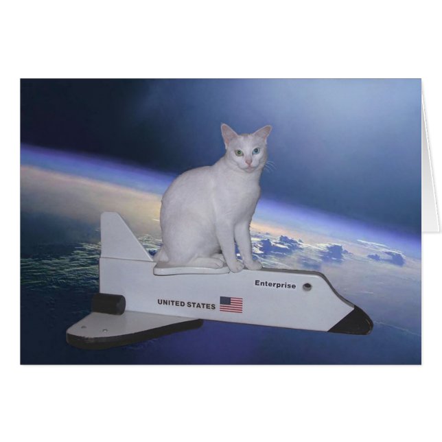 Cartão Astronauta Cat (Espírito) no Shuttle Espacial (Frente Horizontal)