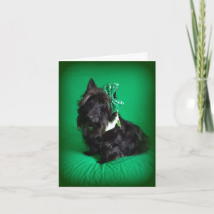 Cartão Até alguma coisa