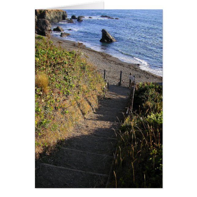 Cartão Até Shark Rock (Frente)