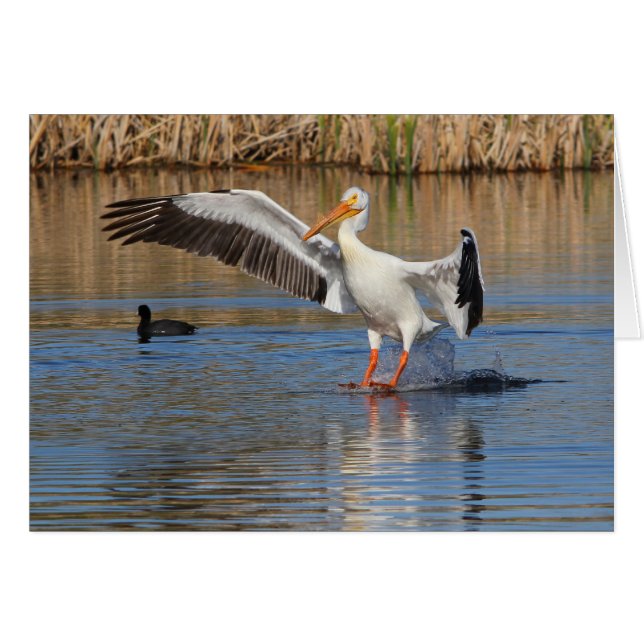 Cartão Aterragem (Frente Horizontal)