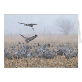 Cartão Aterragem enevoada de Nebraska da manhã