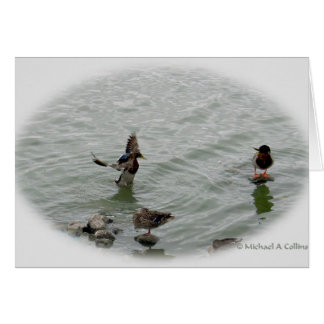 Cartão Aterrissagem