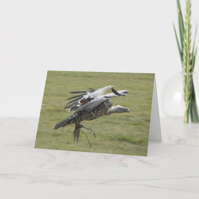 Cartão Aterro com asas abertas, pássaro de presa (Frente)