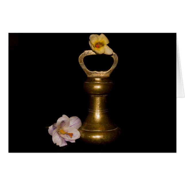 Cartão Atração Floral (Frente Horizontal)