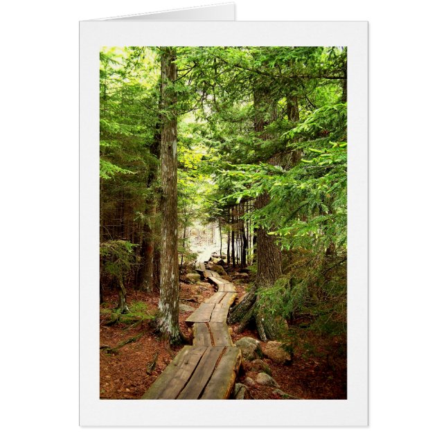 Cartão Através da floresta (Frente)